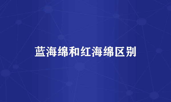 蓝海绵和红海绵区别