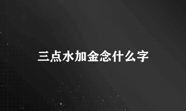 三点水加金念什么字