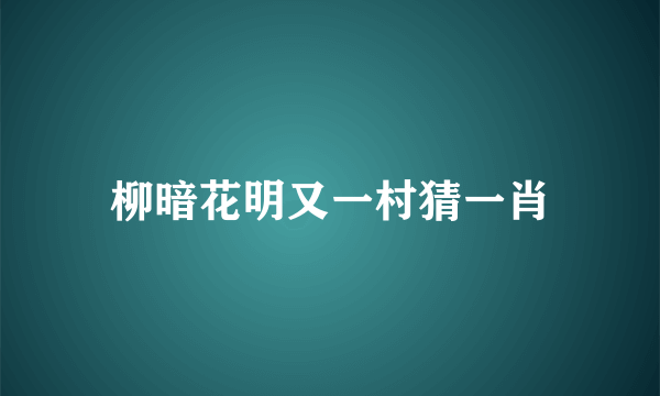 柳暗花明又一村猜一肖