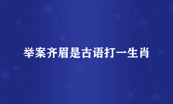举案齐眉是古语打一生肖