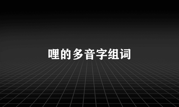 哩的多音字组词