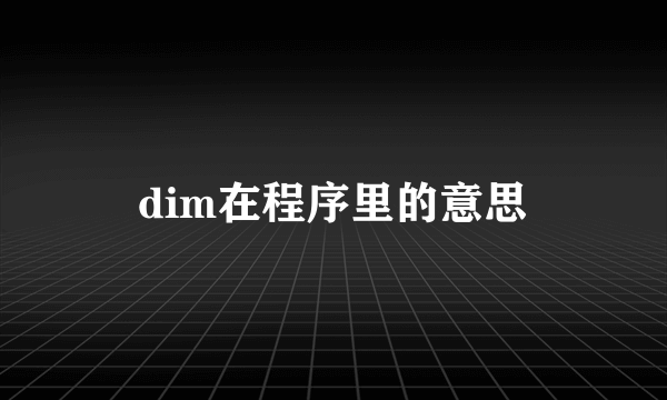 dim在程序里的意思