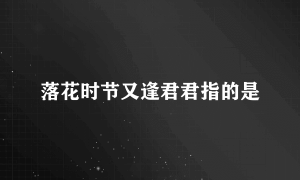 落花时节又逢君君指的是