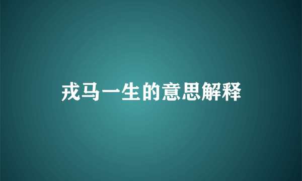 戎马一生的意思解释