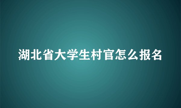 湖北省大学生村官怎么报名