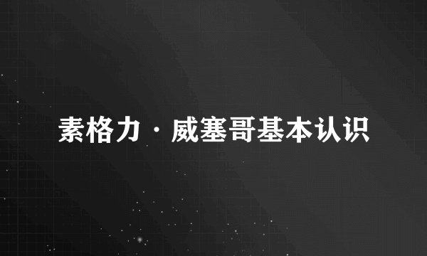 素格力·威塞哥基本认识