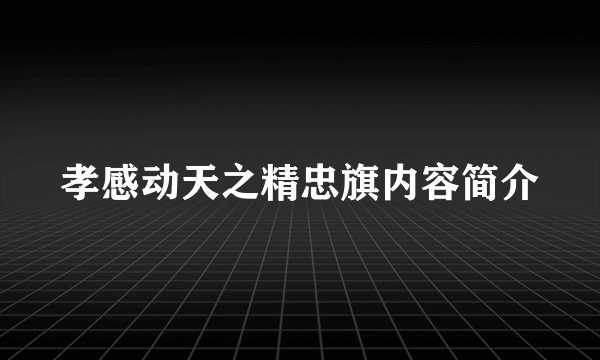 孝感动天之精忠旗内容简介