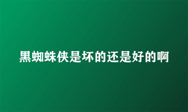 黑蜘蛛侠是坏的还是好的啊