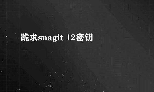 跪求snagit 12密钥