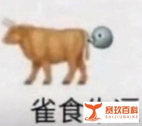 被全民骂爆的校园贷鼻祖,到底坑了多少年轻人?