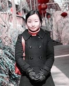 杨眉的介绍