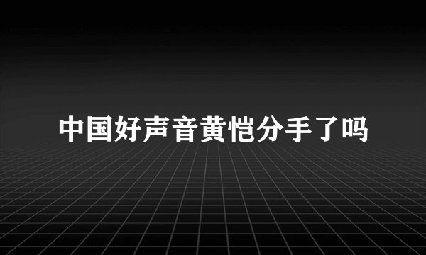 中国好声音黄恺分手了吗