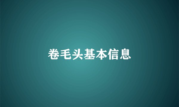 卷毛头基本信息