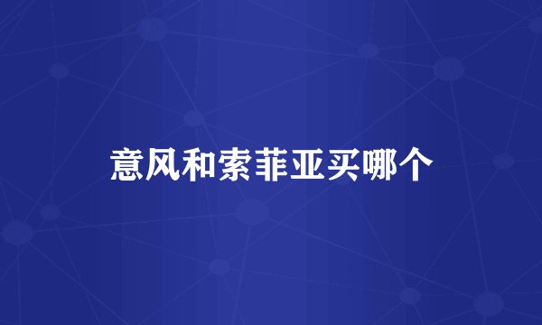 意风和索菲亚买哪个