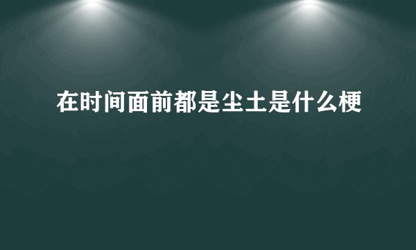 在时间面前都是尘土是什么梗