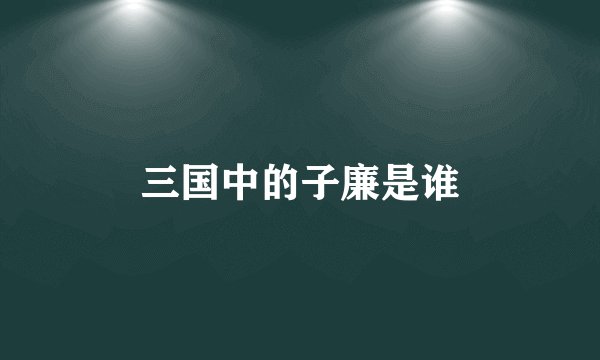 三国中的子廉是谁
