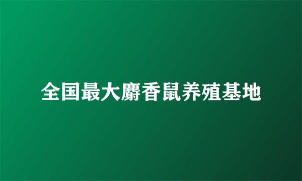 全国最大麝香鼠养殖基地