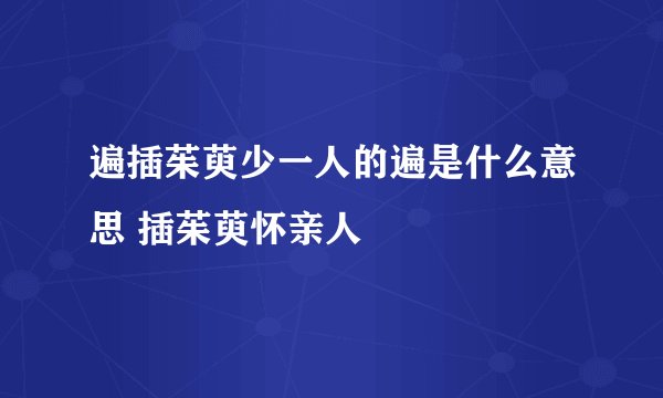 遍插茱萸少一人的遍是什么意思 插茱萸怀亲人