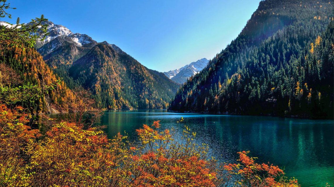 九寨沟一般旅游费用多少？