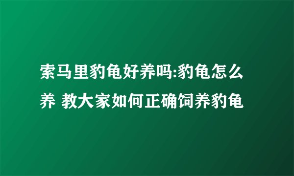 索马里豹龟好养吗:豹龟怎么养 教大家如何正确饲养豹龟