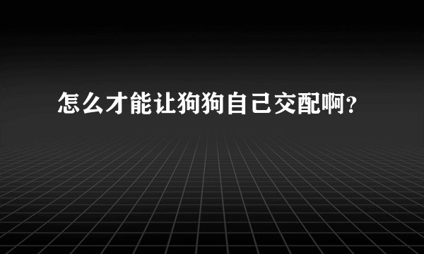 怎么才能让狗狗自己交配啊？