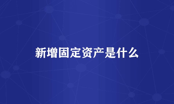 新增固定资产是什么