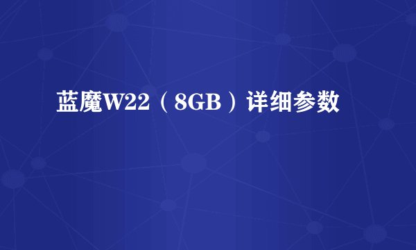 蓝魔W22（8GB）详细参数