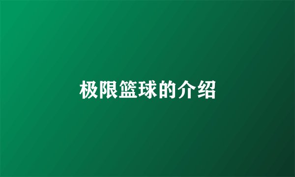 极限篮球的介绍