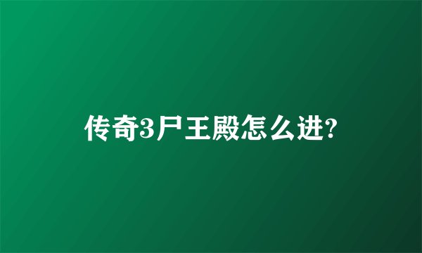 传奇3尸王殿怎么进?