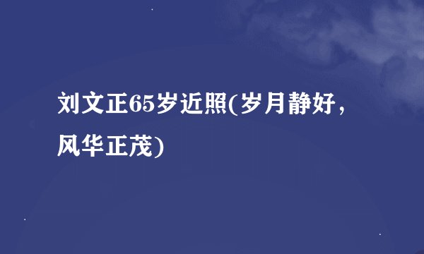 刘文正65岁近照(岁月静好，风华正茂)