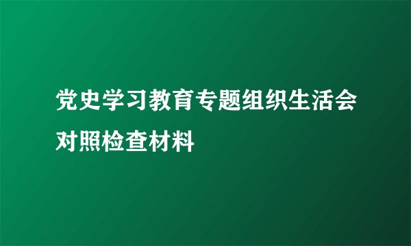 党史学习教育专题组织生活会对照检查材料