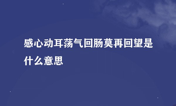 感心动耳荡气回肠莫再回望是什么意思