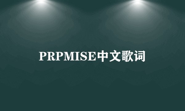 PRPMISE中文歌词