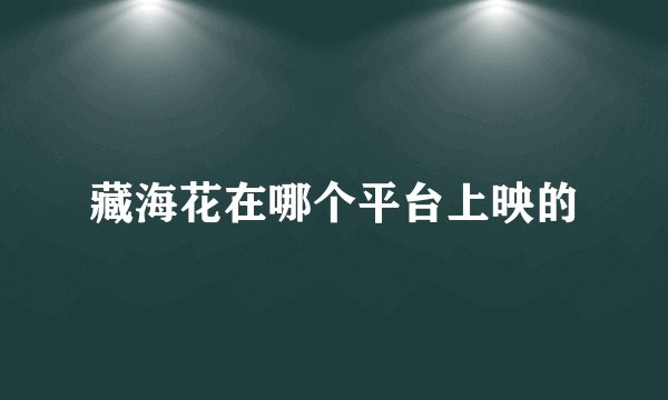 藏海花在哪个平台上映的