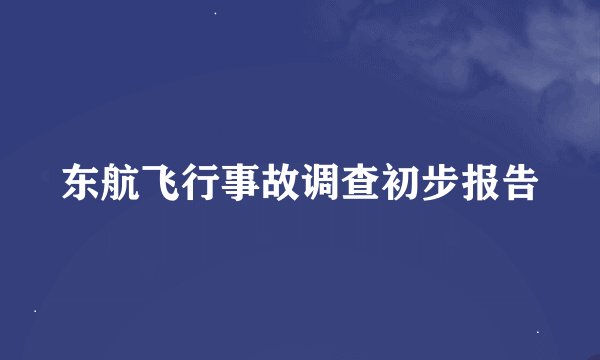东航飞行事故调查初步报告
