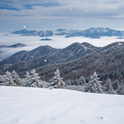 千山暮雪主要讲的是什么？