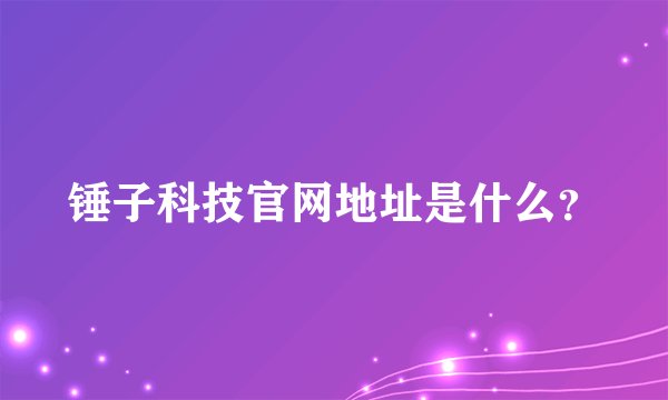 锤子科技官网地址是什么？