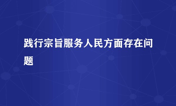 践行宗旨服务人民方面存在问题