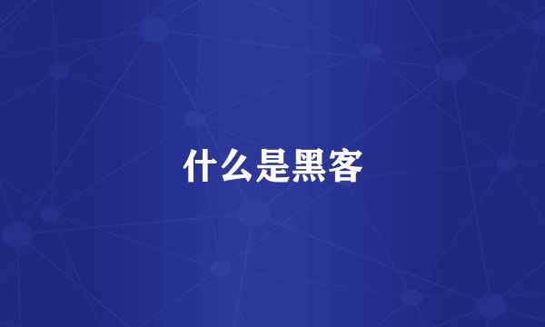 什么是黑客