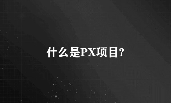 什么是PX项目?