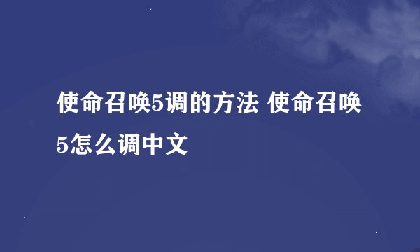 使命召唤5调的方法 使命召唤5怎么调中文