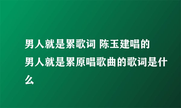 男人就是累歌词 陈玉建唱的男人就是累原唱歌曲的歌词是什么