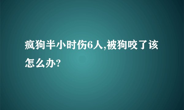 疯狗半小时伤6人,被狗咬了该怎么办?