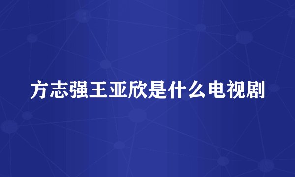 方志强王亚欣是什么电视剧