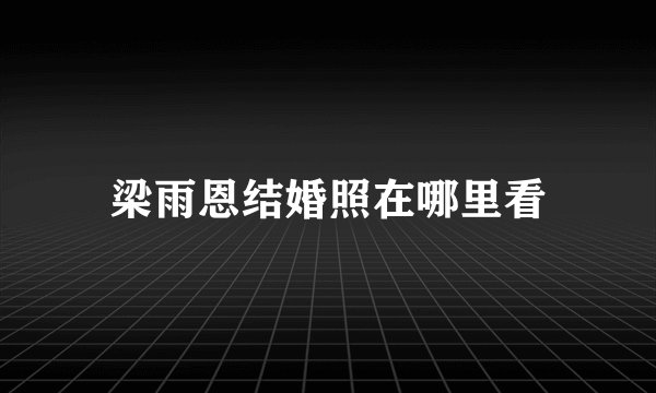 梁雨恩结婚照在哪里看