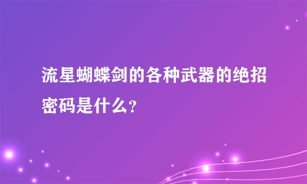 流星蝴蝶剑的各种武器的绝招密码是什么？