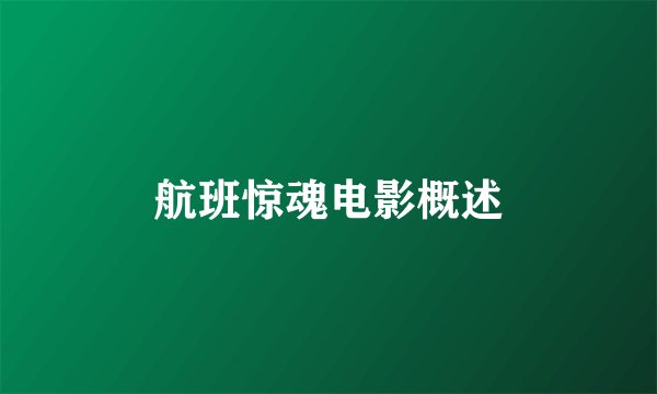 航班惊魂电影概述