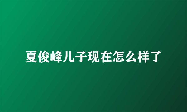 夏俊峰儿子现在怎么样了