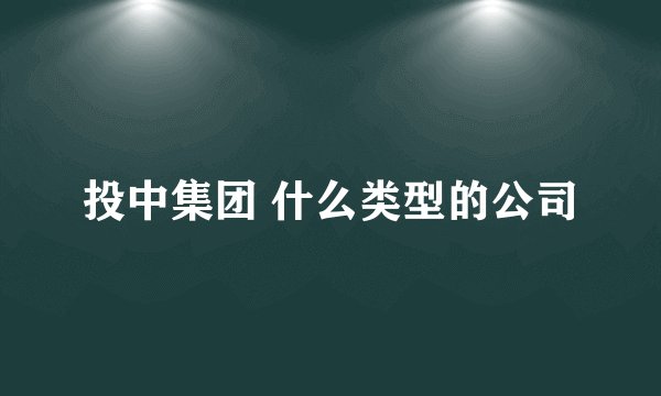 投中集团 什么类型的公司