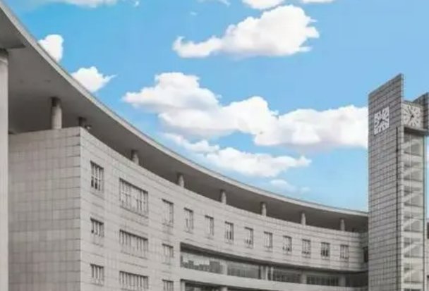湖北经济学院2023投档线是多少